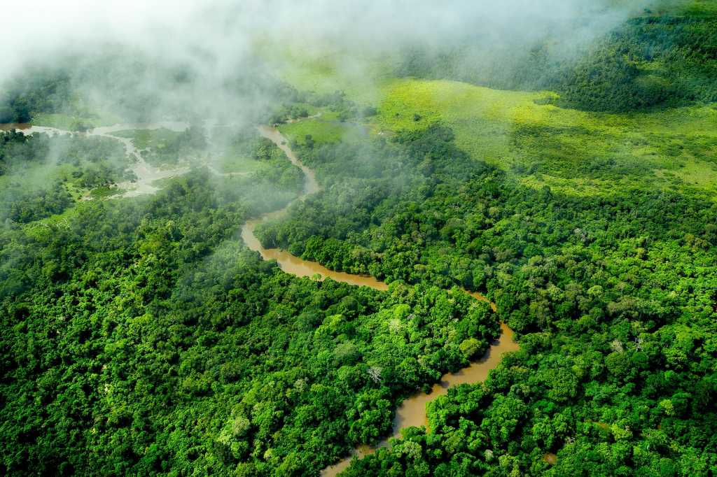 Africa > Republic of Congo > Meandering jungle river in the rainforest of the Congo Basin