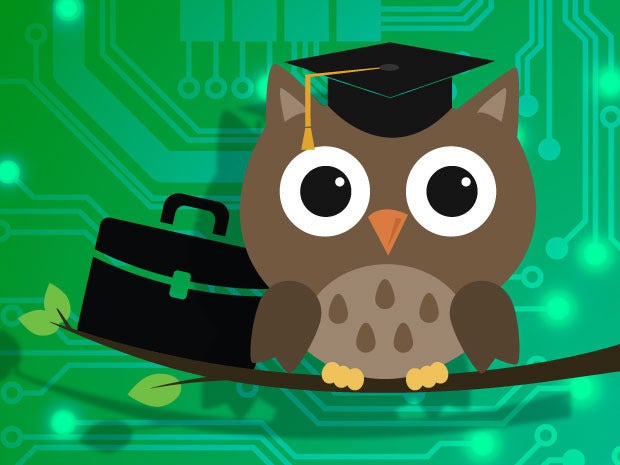 owl college graduate school briefcase