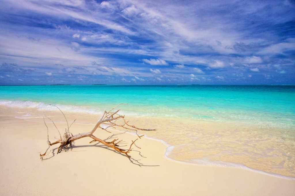 istock 675990860