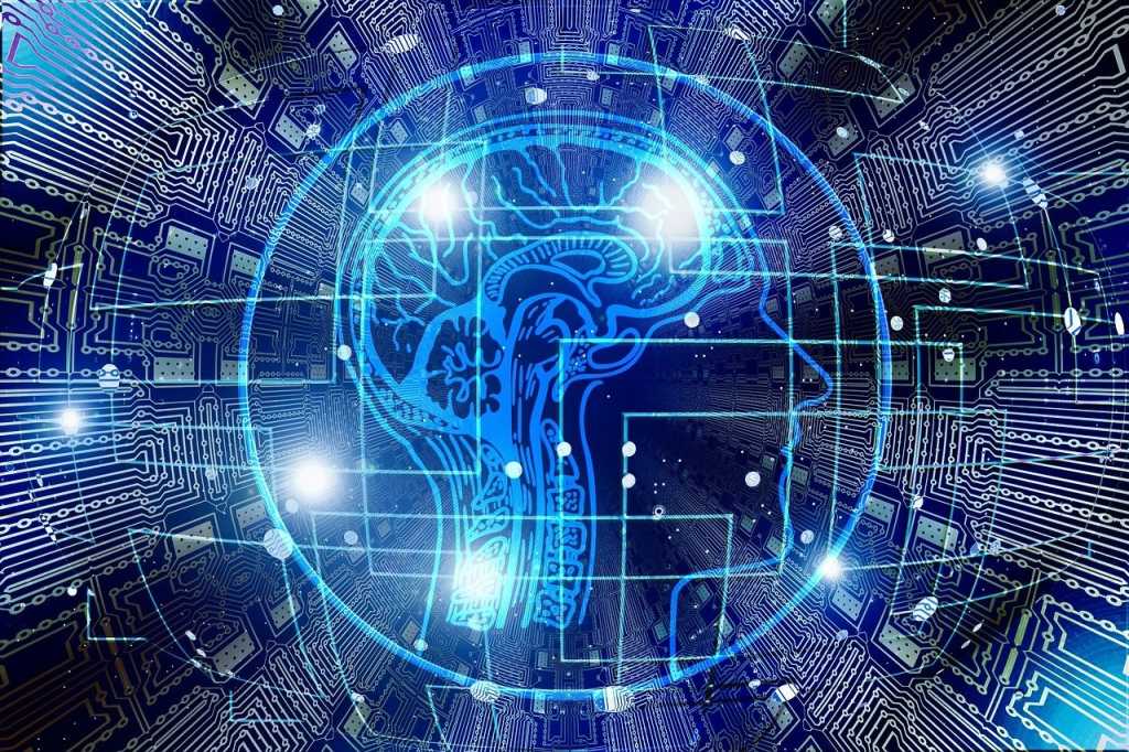 brain data